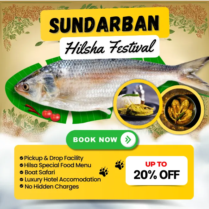 Sundarban Hilsha Fish
