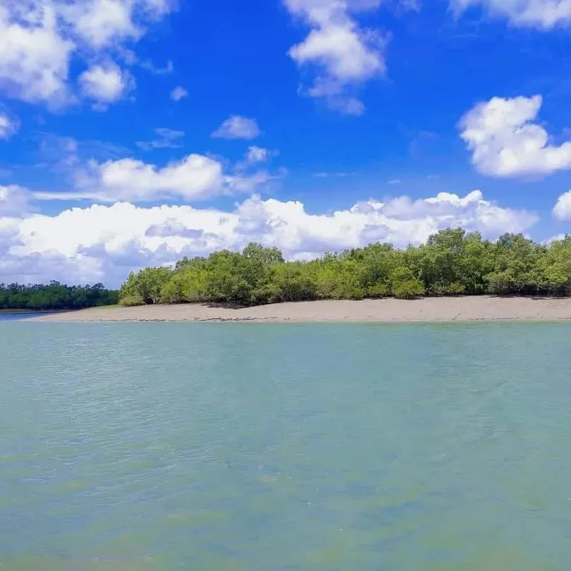 Sundarban Natural Tour Photo