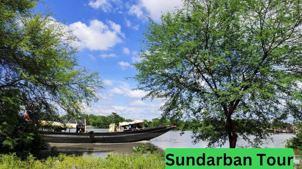 5 Fascinating Facts About Sundarban's Local Culture