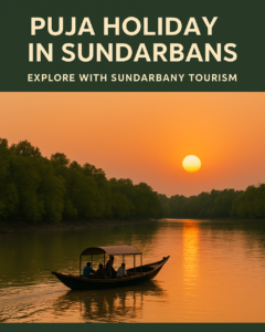 Best Time to Visit Sundarbans for Tiger Spotting