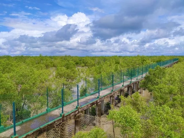 Sundarbans gallery image 2