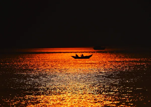 1 Day Sundarban Tour