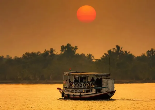 Sundarbans gallery image 6